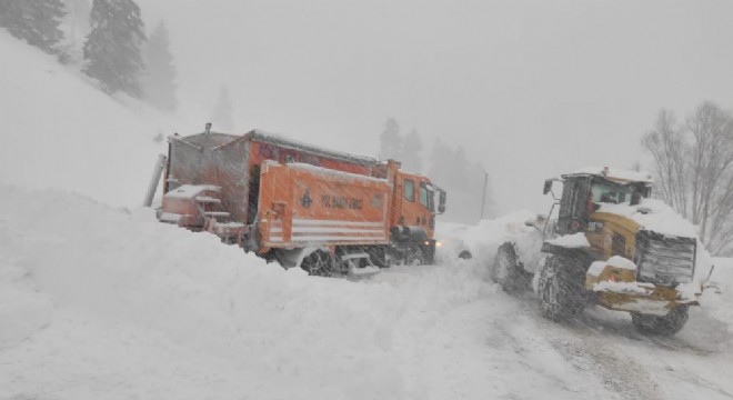 Artvin-Ardahan karayoluna çığ düştü